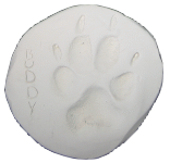 Description: C:\Users\Public\Documents\Doris Stories\Footprint.gif